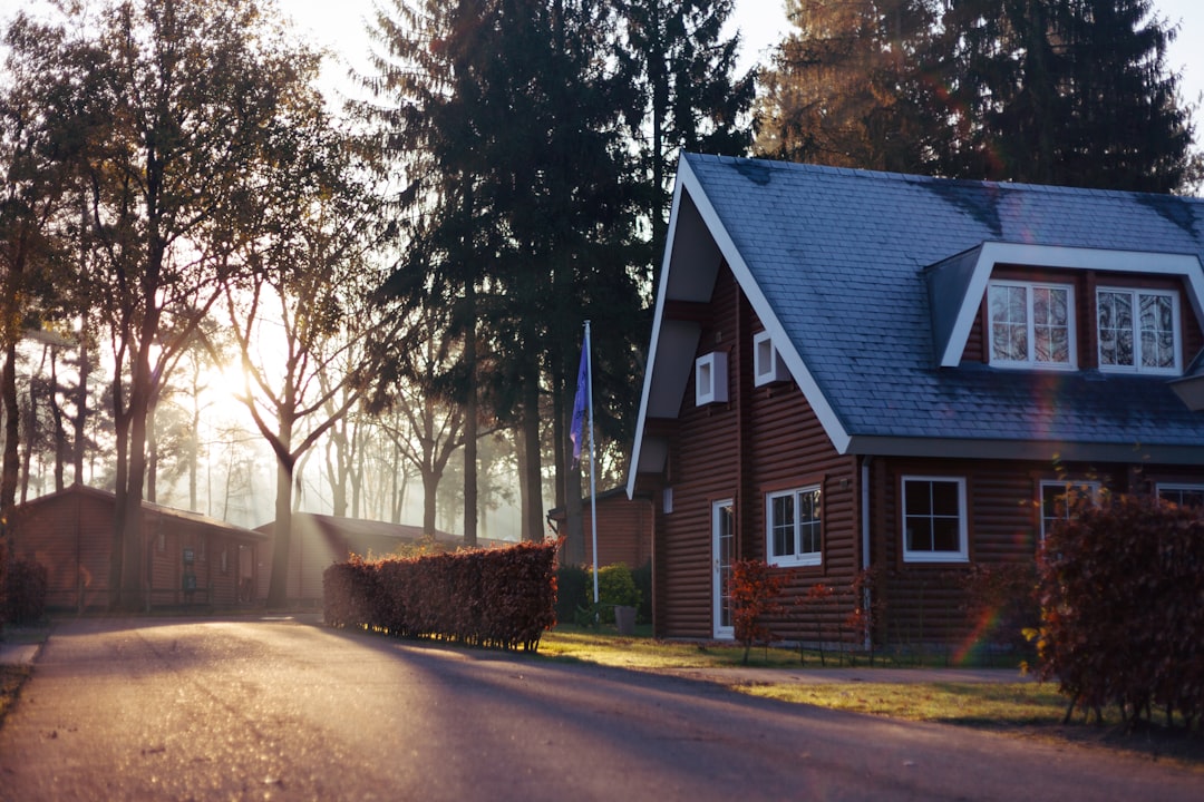 The Psychology of Home Decor: How Your Environment Shapes Your Mood